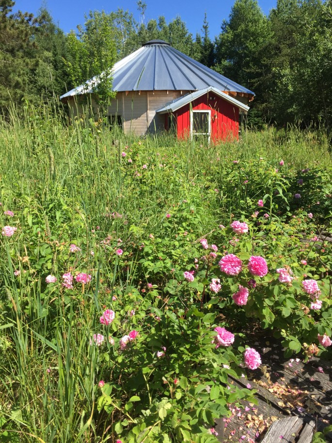 35192189264_85e45e02a9_o