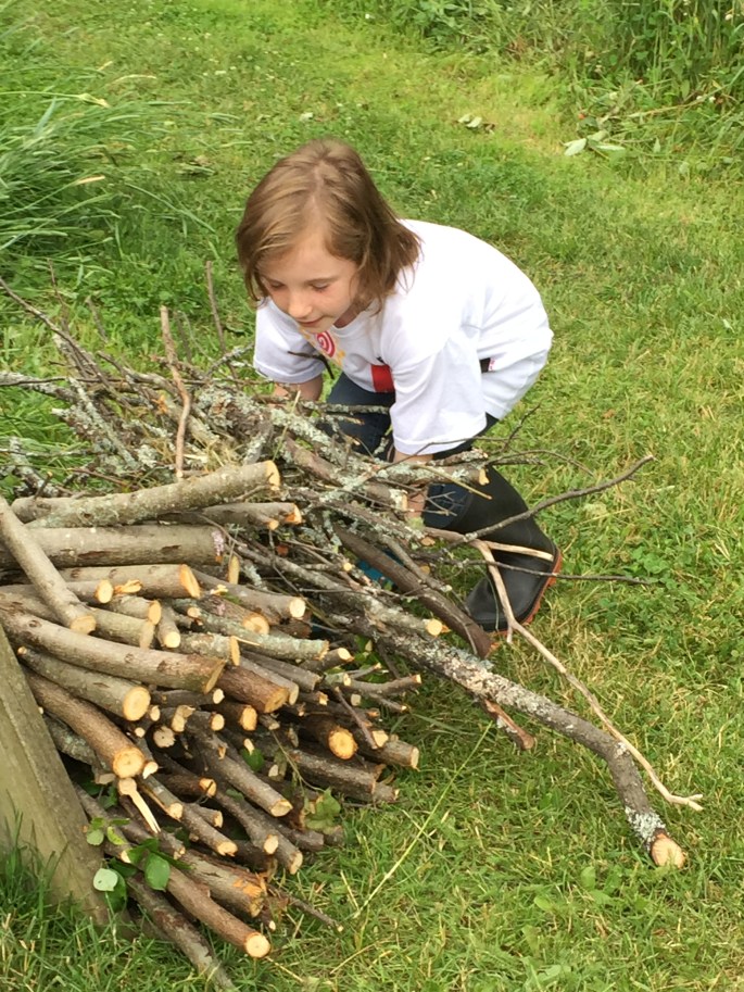 35671072692_3ae39fb634_o