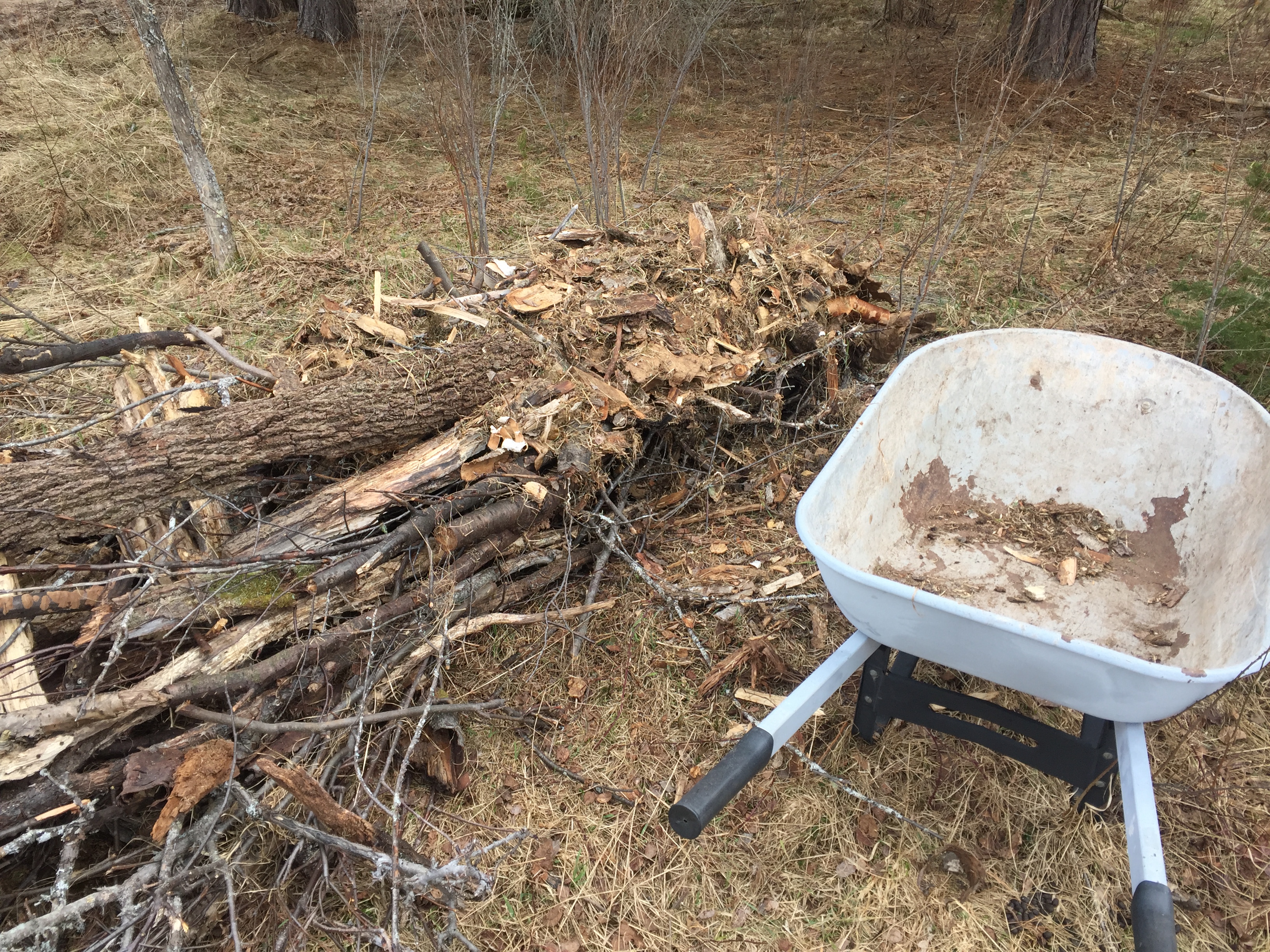 40187205900_c3d08210a3_o